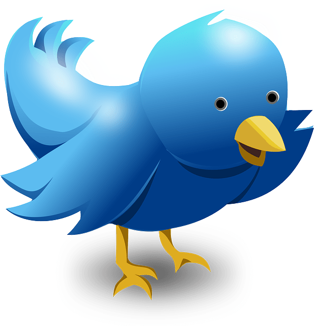 Tip – When is the best time to Tweet?